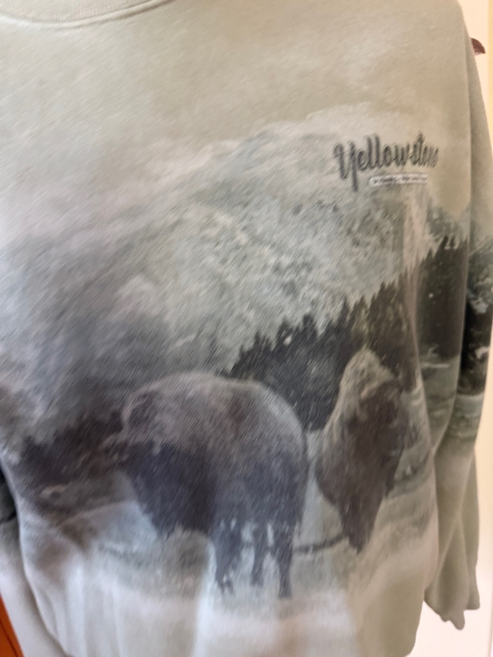 Abercrombie & Fitch Sage Green Graphic Crewneck Sweatshirt - Picture 3 of 6